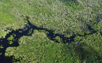 Aerial photo of the Amazon Rainforest by Neil Palmer (CIAT) via Flickr