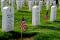 Photo of Arlington Cemetary gravestones via U.S. Department of Defense